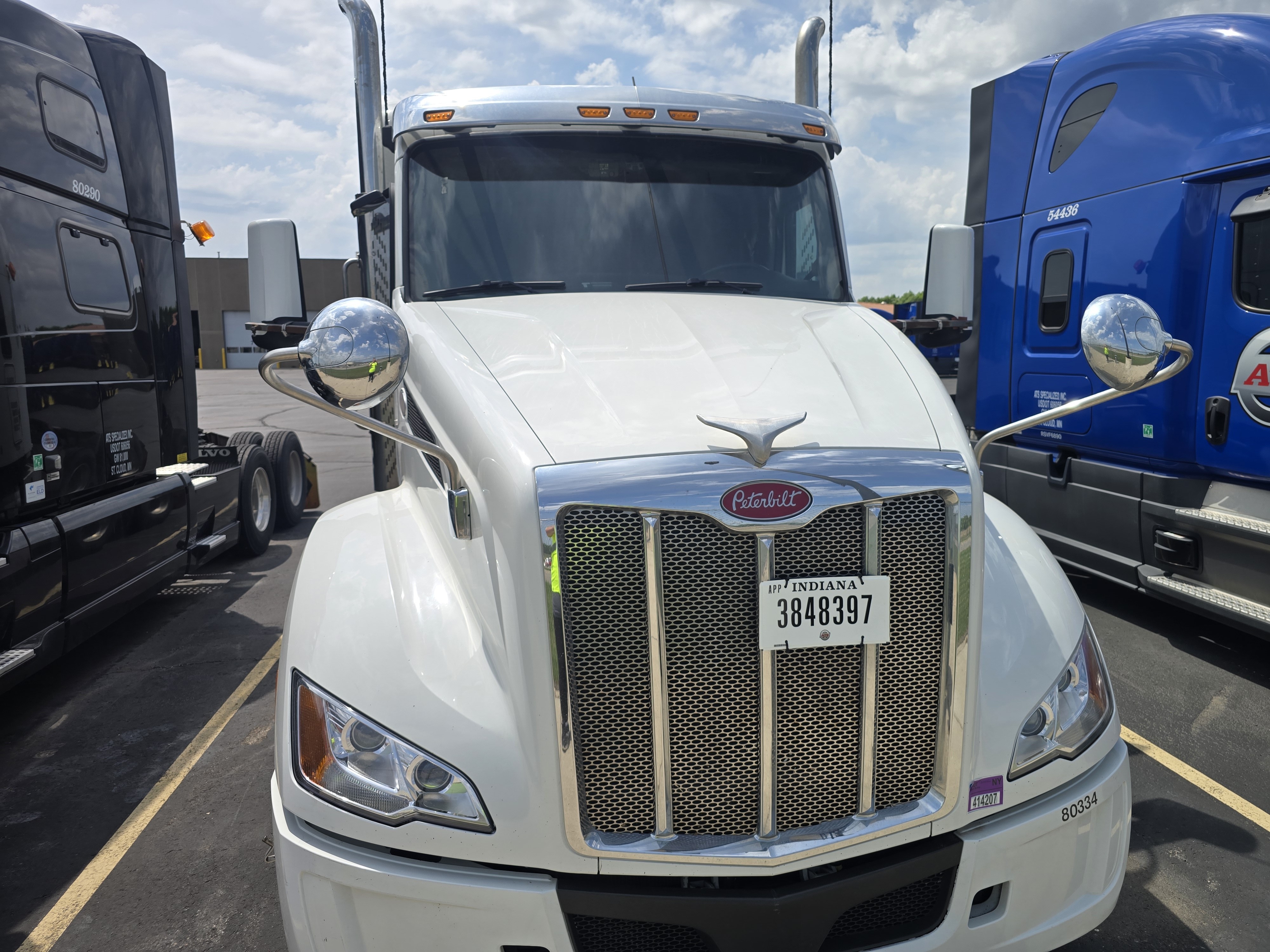 Thousands of baby chicks left abandoned in tractor trailer parked